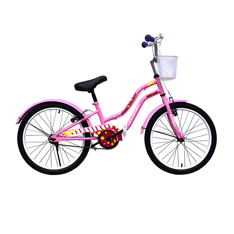 Bicicleta ARO 20"